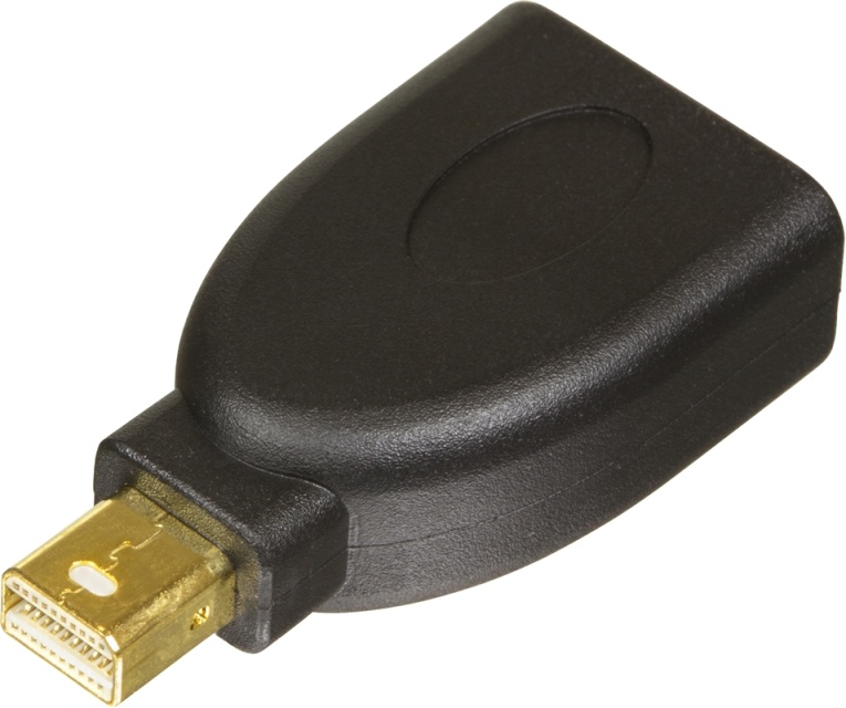 DELTACO DisplayPort-adapter, Mini DisplayPort 20-pin han til DisplayPo