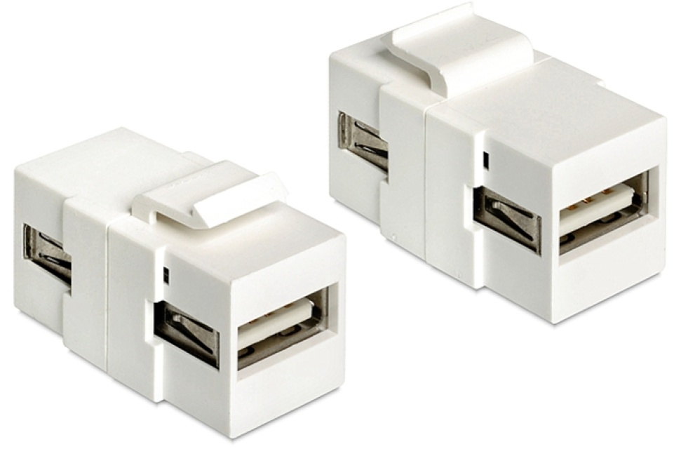 DeLOCK Keystone modul, USB 2.0 Type A hun - USB 2.0 Type A hun, hvid