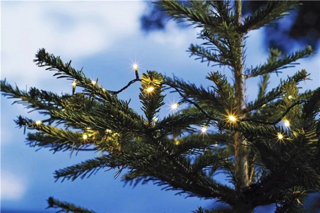 Batteridrevet LED-sløjfe med timerfunktion, 6,45 m