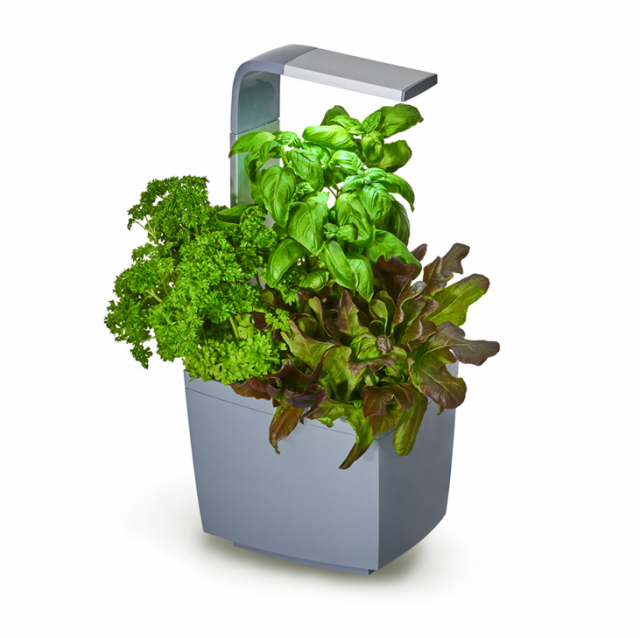 Tregren Kitchen Garden T3 Grå