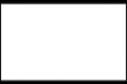 Akrylbaseret maling Matt White (Flat) 22ml