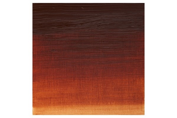 WINSOR Artists oil colour 200ml burnt sienna 074