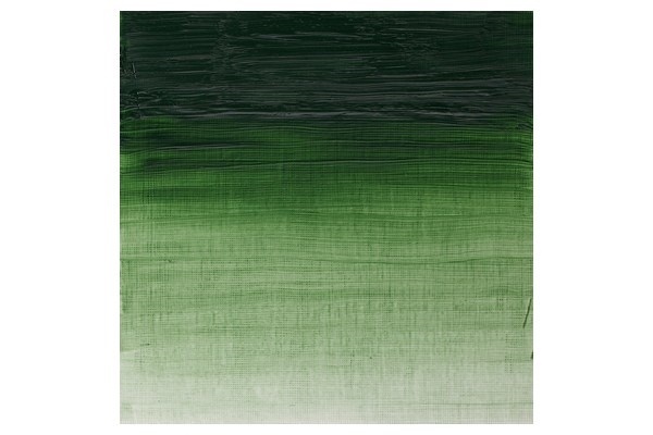 WINSOR Artists oil colour 200ml terre verte 637