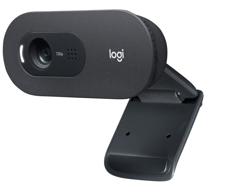 Logitech C505 webbkameror 1280 x 720 pixlar USB Svart