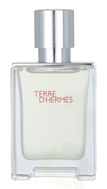 Hermes Terre D