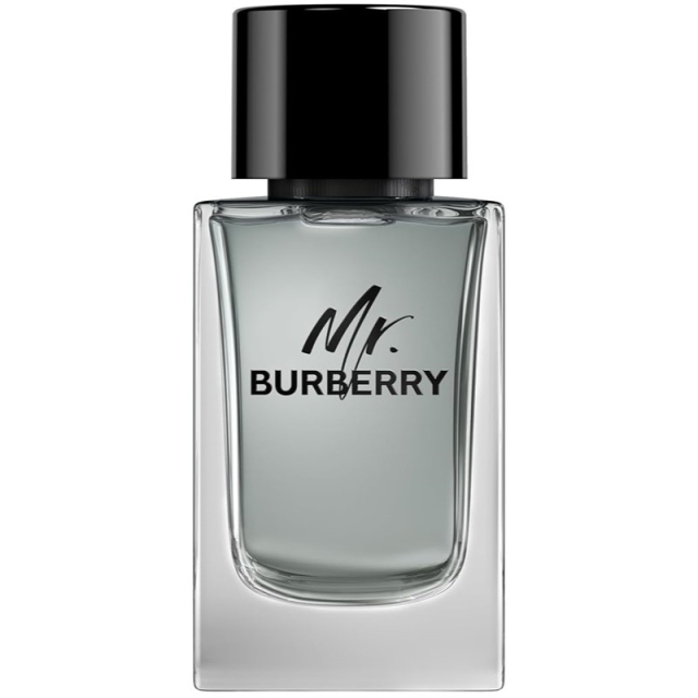 Burberry Mr Burberry Edt 100ml