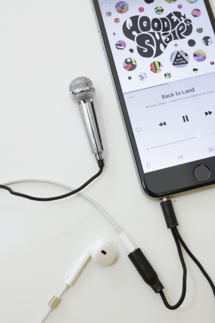 Kikkerland Mini karaokemikrofon - sølv (US133-EU)