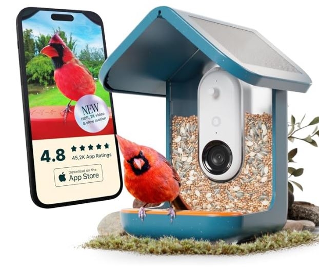 Birdbuddy Smart Bird Feeder 2.0 Blue med solpanel