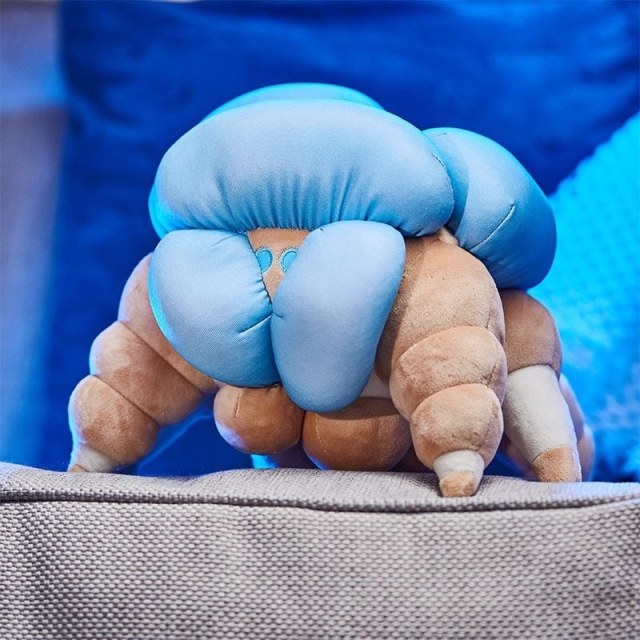 Tubbz Numskull - Destiny plys Screeb Hatchling