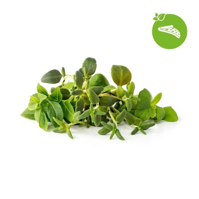 Click & Grow Smart Garden Refill 9-pak italiensk krydderurtemix