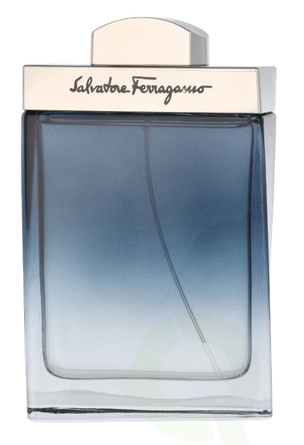 Ferragamo Subtil Pour Homme Edt Spray 100 ml