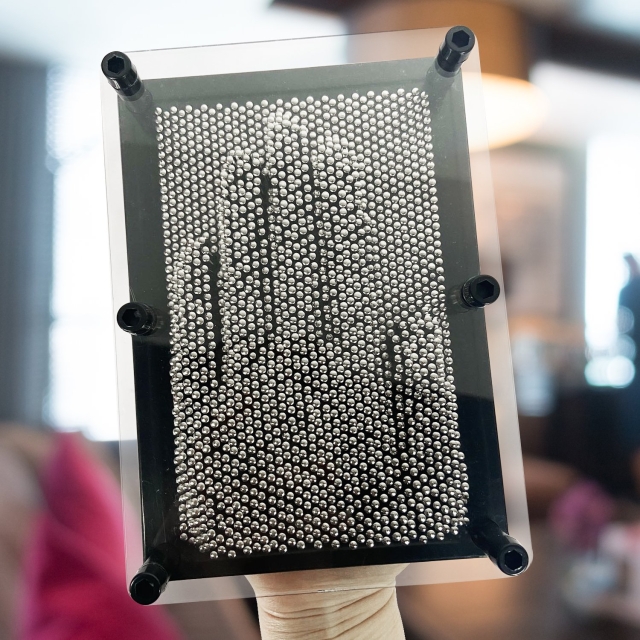 Mad Monkey Pin-kunst