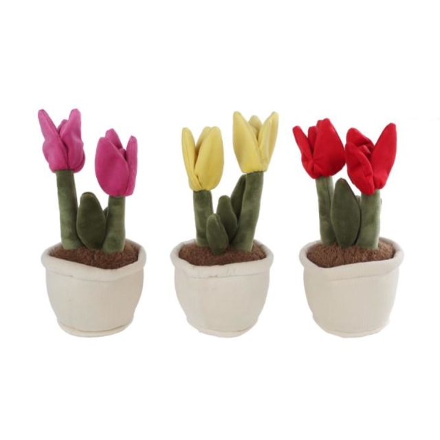 Take Me Home Plant plys tulipan (154934)