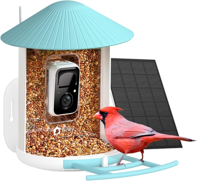 Birdfy Foderautomat med intelligent fugleidentifikation + solpanel