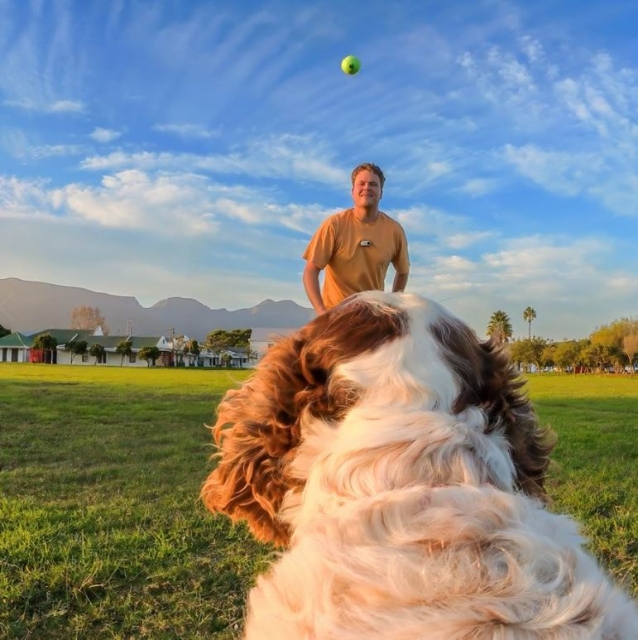 Insta360 GO 3/GO 3S-sele til kæledyr størrelse S
