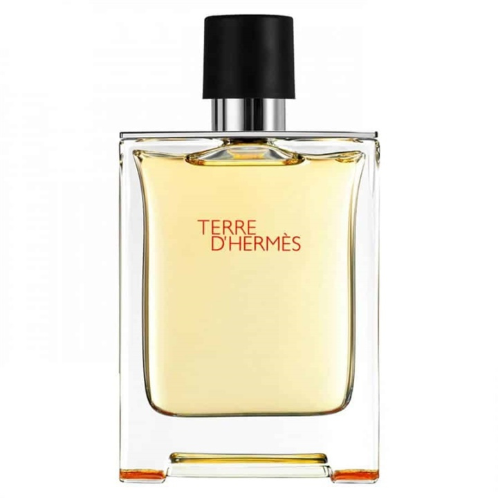 Hermes Terre d\'Hermes Edt 50ml i gruppen SKØNHED & HELSE / Duft & Parfume / Parfume / Parfume til ham hos TP E-commerce Nordic AB (38-58448)