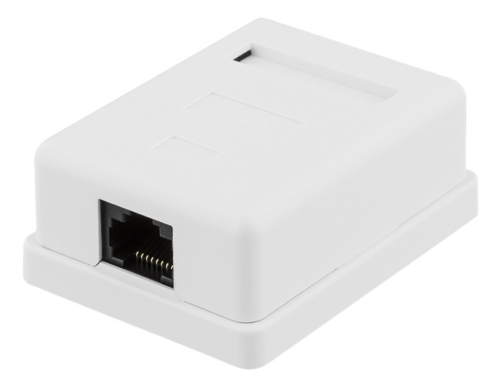 DELTACO Unshielded network socket, Surface UTP 1xRJ45, Cat6, white i gruppen COMPUTERTILBEHØR / Kabler og adaptere / Netværkskabler / Vægudtag hos TP E-commerce Nordic AB (38-61626)