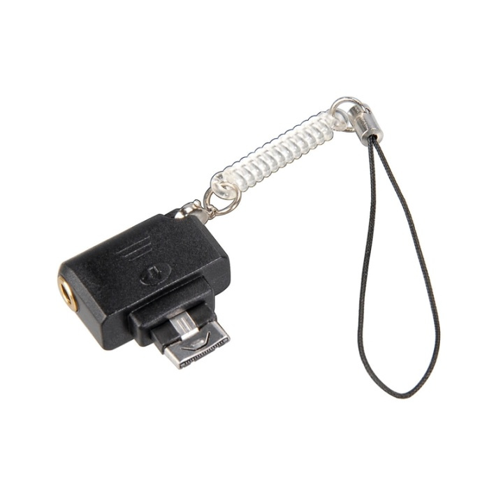 Hama Musikadapter Mini SonyEricsson i gruppen HJEMMEELEKTRONIK / Lyd & billede / Hovedtelefoner & Tilbehør / Tilbehør hos TP E-commerce Nordic AB (38-64646)