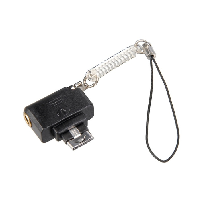 Hama Musikadapter Samsung D900i i gruppen HJEMMEELEKTRONIK / Lyd & billede / Hovedtelefoner & Tilbehør / Tilbehør hos TP E-commerce Nordic AB (38-64647)