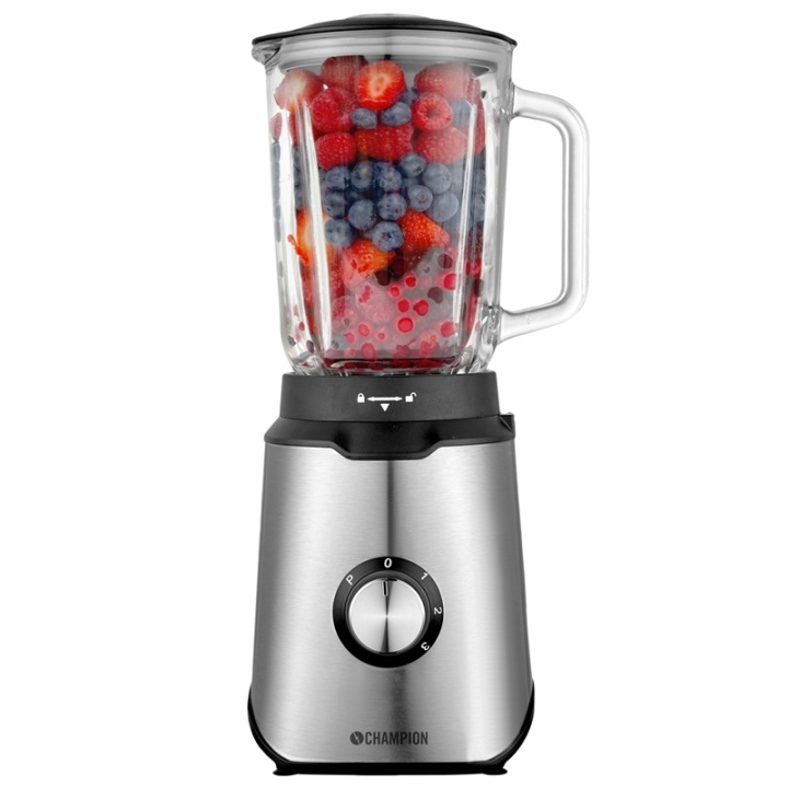 Champion Blender 600W Rostfritt stål i gruppen HJEM, HUS & HAVE / Husholdningsapparater / Foodprocessor og køkkenassistenter / Mixer & Blender hos TP E-commerce Nordic AB (38-74023)