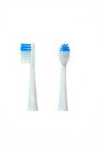 Camry tandbørstehoved til CR 2158 i gruppen SKØNHED & HELSE / Oral pleje / Tilbehør til elektriske tandbørster hos TP E-commerce Nordic AB (38-75083)