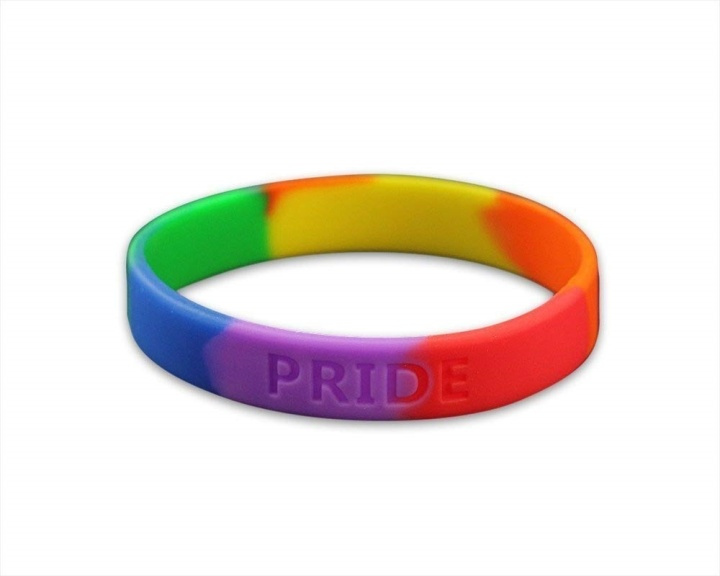 Pride armbånd i gruppen SPORT, FRITID & HOBBY / Accessories / Øvrige accessories hos TP E-commerce Nordic AB (38-80844)