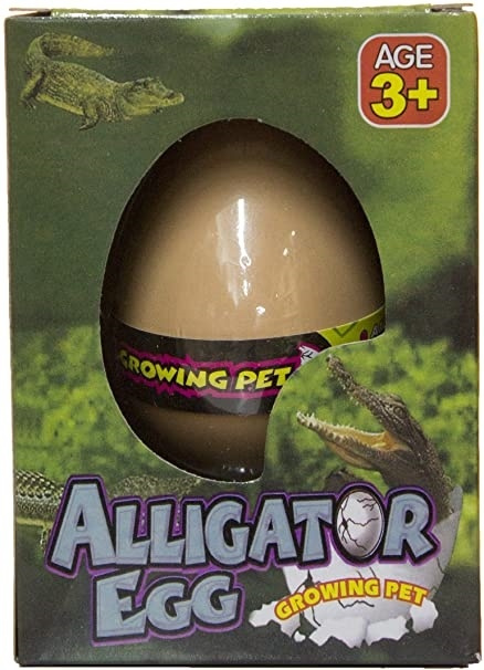 Magiskt ägg, Alligator i gruppen LEGETØJ, BØRN & BABY / Legetøj / Legetøj hos TP E-commerce Nordic AB (38-81781)