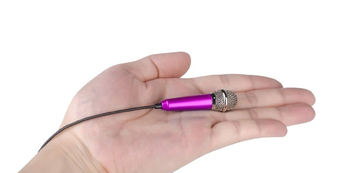 Mini-mikrofon, pink i gruppen SPORT, FRITID & HOBBY / Sjove gadgets / Sjove gadgets hos TP E-commerce Nordic AB (38-82790)