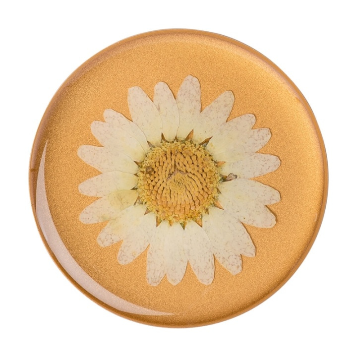 PopSockets Pressed Flower White Daisy Avtagbart Grip med Ställfunktion Premium i gruppen SMARTPHONES & TABLETS / Øvrigt tilbehør / Popsockets hos TP E-commerce Nordic AB (38-92140)