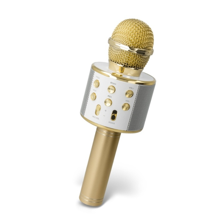 Forever BMS-300 Mikrofon med Bluetooth-højttaler, Guld i gruppen HJEMMEELEKTRONIK / Lyd & billede / Håndholdte mikrofoner hos TP E-commerce Nordic AB (38-92731)
