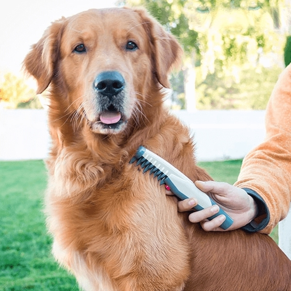 Filtemaskine til kæledyr i gruppen HJEM, HUS & HAVE / Tilbehør til dyr / Hund hos TP E-commerce Nordic AB (38-94187)