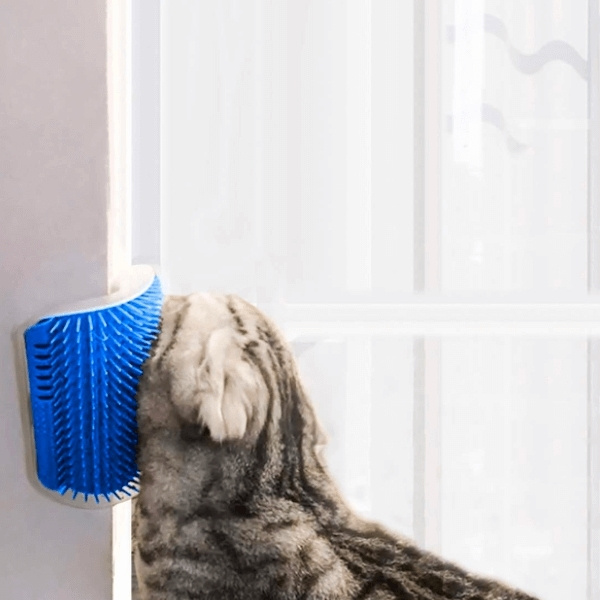 Katte massageapparat, blå i gruppen HJEM, HUS & HAVE / Tilbehør til dyr / Kat hos TP E-commerce Nordic AB (38-94189)