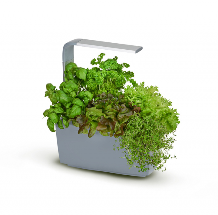 Tregren Kitchen Garden T6 Grå i gruppen SPORT, FRITID & HOBBY / Sjove gadgets / Smarte løsninger hos TP E-commerce Nordic AB (A04813)