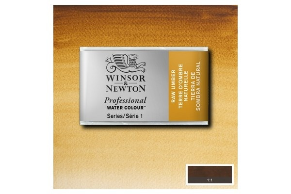 WINSOR Watercolour proff pan Raw Umber 554 i gruppen SPORT, FRITID & HOBBY / Hobby / Mal & Tegn / Kunstnerfarver / Akvarel farver hos TP E-commerce Nordic AB (A09146)