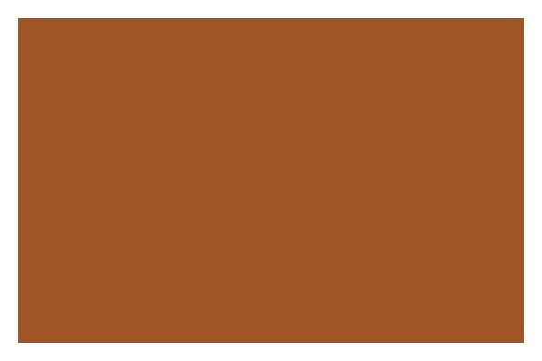 LIQUITEX Ac Spray 400Ml Raw Sienna 0330 i gruppen SPORT, FRITID & HOBBY / Hobby / Mal & Tegn / Kunstnerfarver / Spraymaling hos TP E-commerce Nordic AB (A09430)