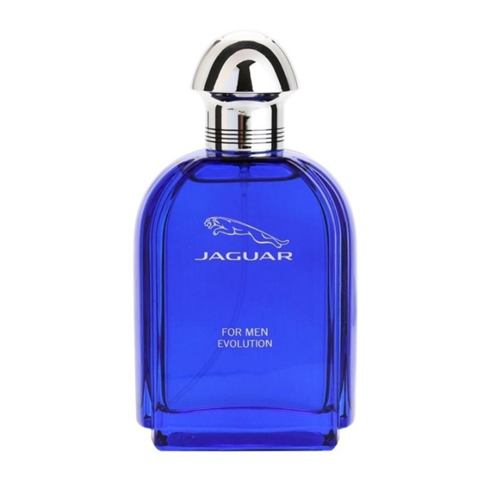 Jaguar For Men Evolution Edt 100ml i gruppen SKØNHED & HELSE / Duft & Parfume / Parfume / Parfume til ham hos TP E-commerce Nordic AB (A11083)