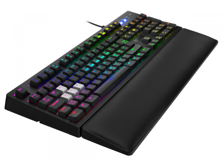Svive Orcus optisk RGB-gamingtastatur i gruppen COMPUTERTILBEHØR / GAMING / Tastatur hos TP E-commerce Nordic AB (A23085)