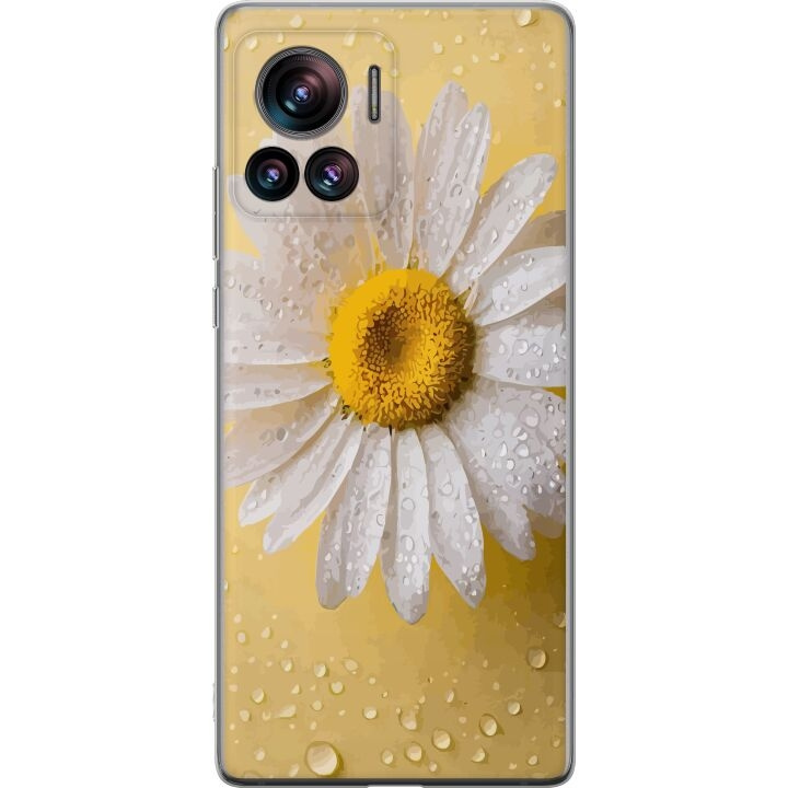 Mobilcover til Motorola Edge 30 Ultra med Porcelænsblomst motiv i gruppen SMARTPHONES & TABLETS / Mobil Beskyttelse / Motorola hos TP E-commerce Nordic AB (A54206)