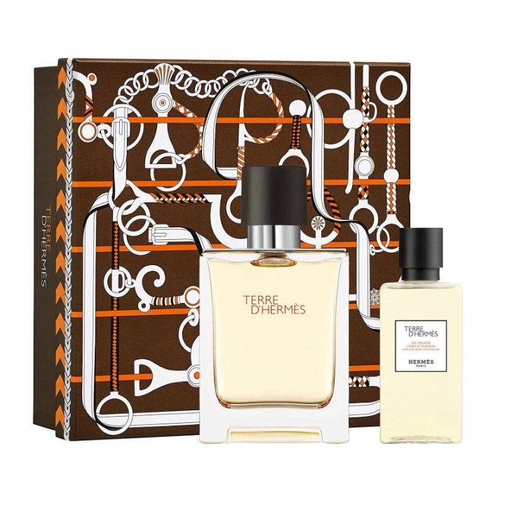 Giftset Hermes Terre d\'Hermes Edt 100ml + Shower Gel 80ml i gruppen SKØNHED & HELSE / Duft & Parfume / Parfume / Parfume til ham hos TP E-commerce Nordic AB (C03391)