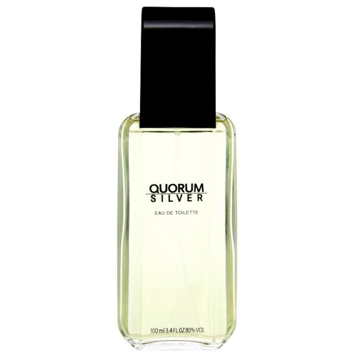 Antonio Puig Quorum Silver Edt 100ml i gruppen SKØNHED & HELSE / Duft & Parfume / Parfume / Parfume til ham hos TP E-commerce Nordic AB (C03835)