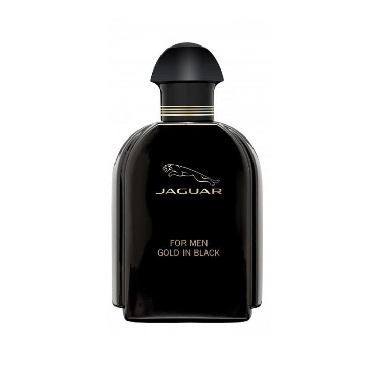 Jaguar for Men Gold In Black Edt 100ml i gruppen SKØNHED & HELSE / Duft & Parfume / Parfume / Parfume til ham hos TP E-commerce Nordic AB (C05066)