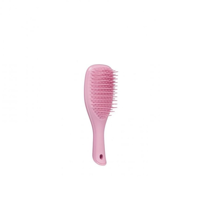 Tangle Teezer Wet Detangle Mini Glitter Pink i gruppen SKØNHED & HELSE / Hår og styling / Hårbørster hos TP E-commerce Nordic AB (C05539)