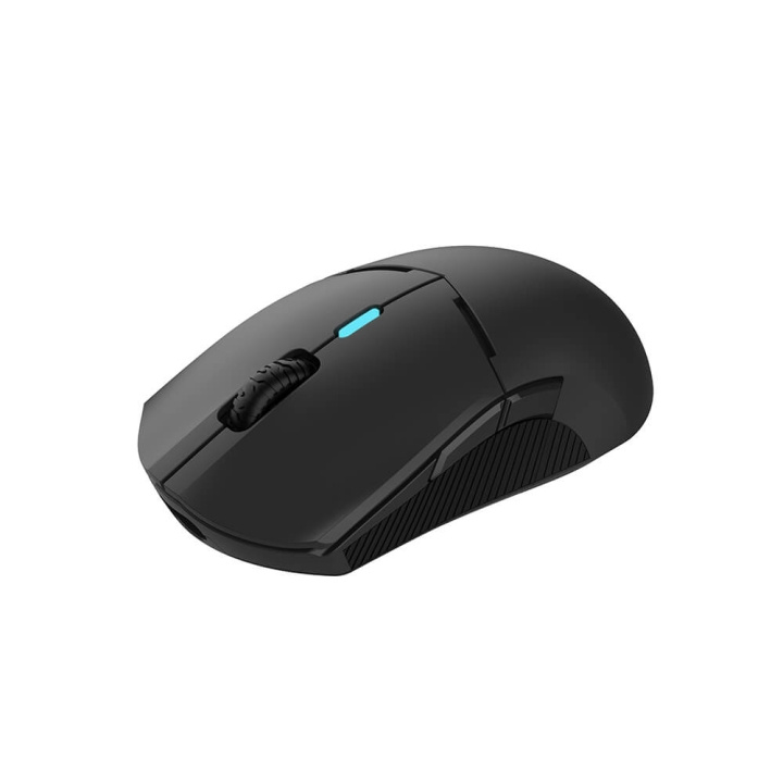 QPAD Gamingmus DX900 i gruppen COMPUTERTILBEHØR / GAMING / Mus hos TP E-commerce Nordic AB (C06676)