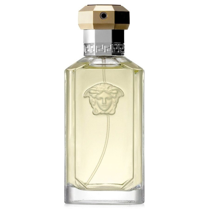 Versace The Dreamer Edt 100ml i gruppen SKØNHED & HELSE / Duft & Parfume / Parfume / Parfume til ham hos TP E-commerce Nordic AB (C10705)