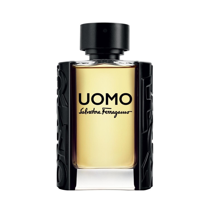 Salvatore Ferragamo Uomo Edt 100ml i gruppen SKØNHED & HELSE / Duft & Parfume / Parfume / Parfume til hende hos TP E-commerce Nordic AB (C10837)