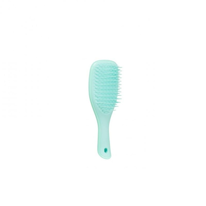 Tangle Teezer Wet Detangle Mini Light Blue i gruppen SKØNHED & HELSE / Hår og styling / Hårbørster hos TP E-commerce Nordic AB (C11351)