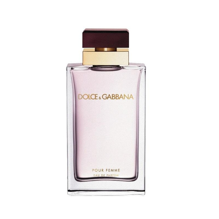 Dolce & Gabbana Pour Femme Edp 100ml i gruppen SKØNHED & HELSE / Duft & Parfume / Parfume / Parfume til hende hos TP E-commerce Nordic AB (C12863)