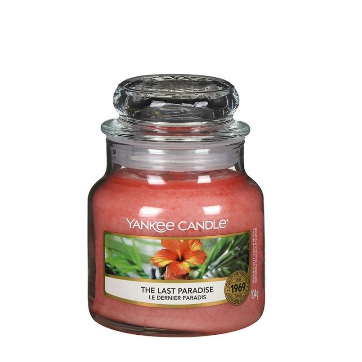 Yankee Candle Classic Small Jar The Last Paradise 104g i gruppen SKØNHED & HELSE / Duft & Parfume / Øvrig duft / Duftlys hos TP E-commerce Nordic AB (C13307)