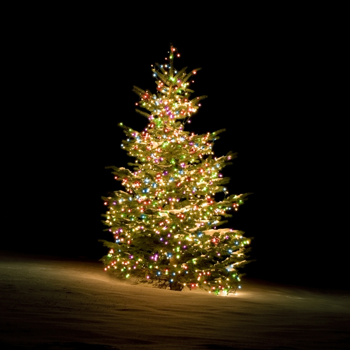 Deltaco Smart home WiFi Tree light,270L,10 strings,RGB,adapter i gruppen HJEMMEELEKTRONIK / Lys / Julebelysning hos TP E-commerce Nordic AB (C13839)
