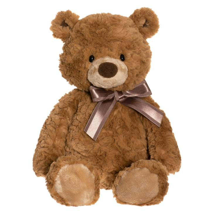 Teddykompaniet Teddy Nalle i giftbox i gruppen LEGETØJ, BØRN & BABY / Babyleg (0-3 år) / Tøjdyr hos TP E-commerce Nordic AB (C18410)